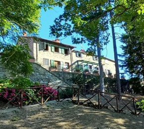 Fattoria di Arsicci
